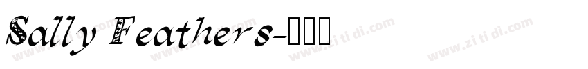 Sally Feathers字体转换